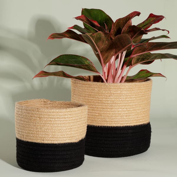 Handmade Jute Rope Planters (Set of 2) - Without Plant