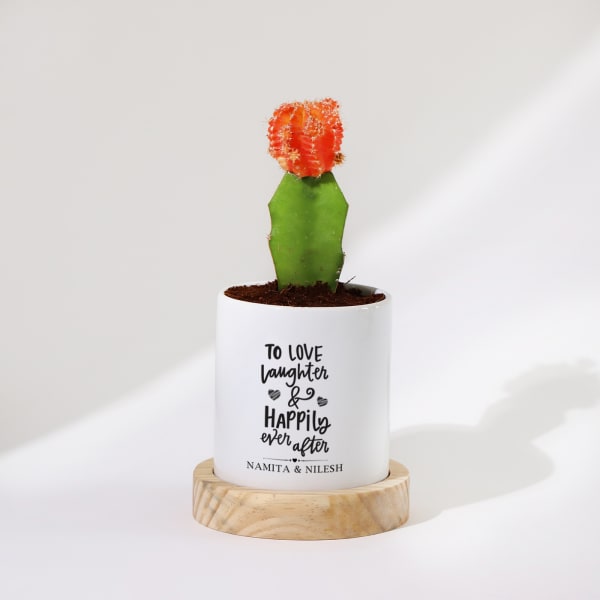 Happily Ever After - Moon Cactus With Pot  - Personalized