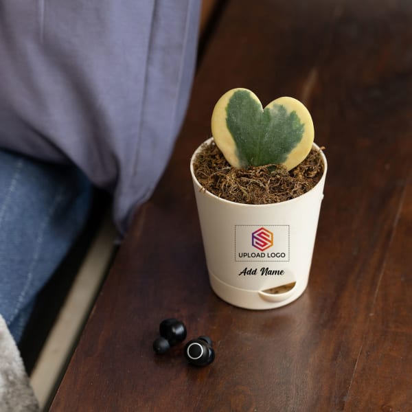 Heart Hoya Plant Customized with logo and Name