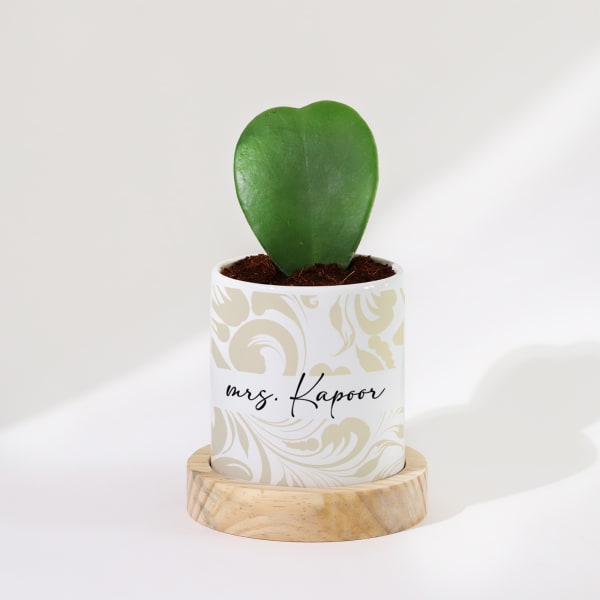 Hoya Heart Plant With Pot - Personalized