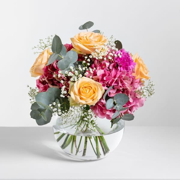 Buy/Send Hydrangea Dream Online IGP ID1350190