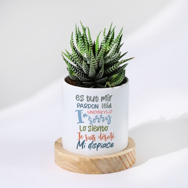 I'm Sorry - Haworthia Succulent With Personalized Pot