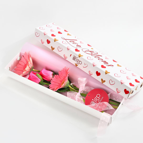 Buy/Send IGP Radiant Roses And Gerberas Love Bloom Box Online IGP