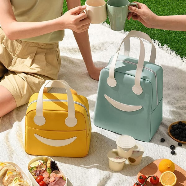 Insulated Lunch Bag - Assorted - Single Piece