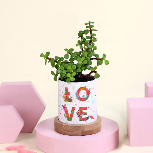 Jade Plant  In a Personalized Red Heart Pot