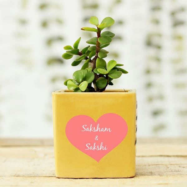 Jade Plant in Cute Personalized Ceramic Pot for Couples