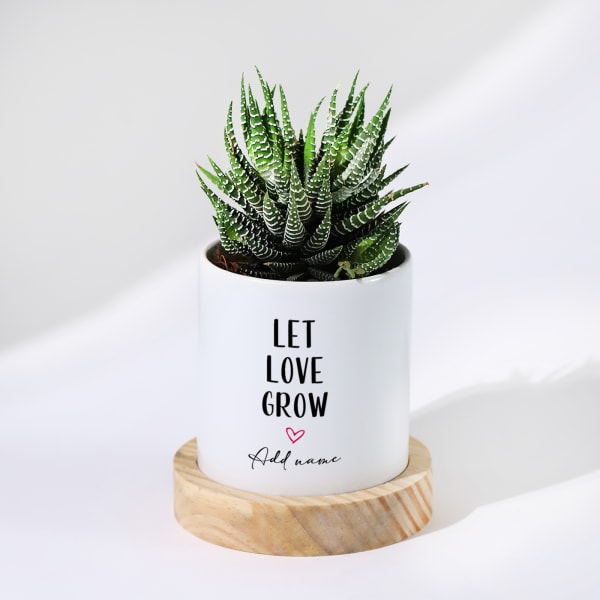 Let Love Grow - Haworthia Succulent With Pot - Personalized
