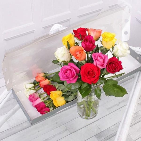 LETTERBOX MIX ROSES