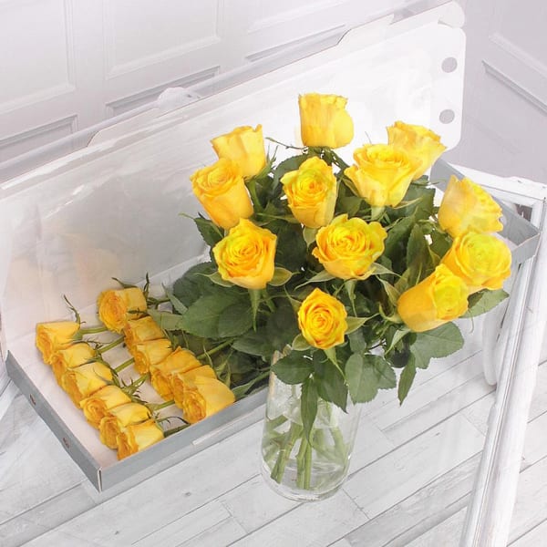 LETTERBOX YELLOW ROSES