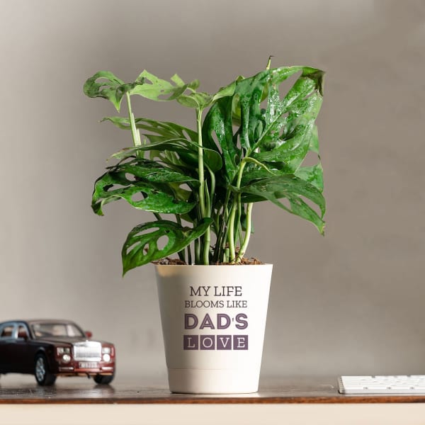 Life Blooms Like Dad's Love Philodendron Plant