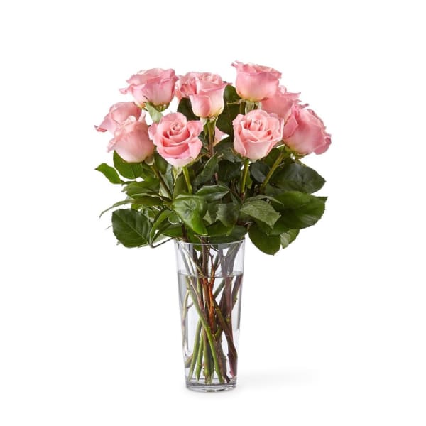 Buy Send Long Stem Pink Rose Bouquet Online Igp Nid