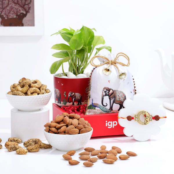 Lord Ganesh Rakhi And Money Plant Hamper