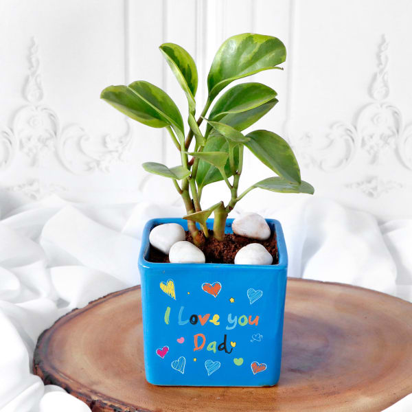 Love Dad Blue Ceramic Planter With Plant