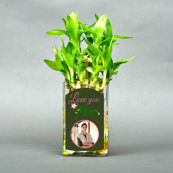 Love You Mom Personalized Bamboo Plant