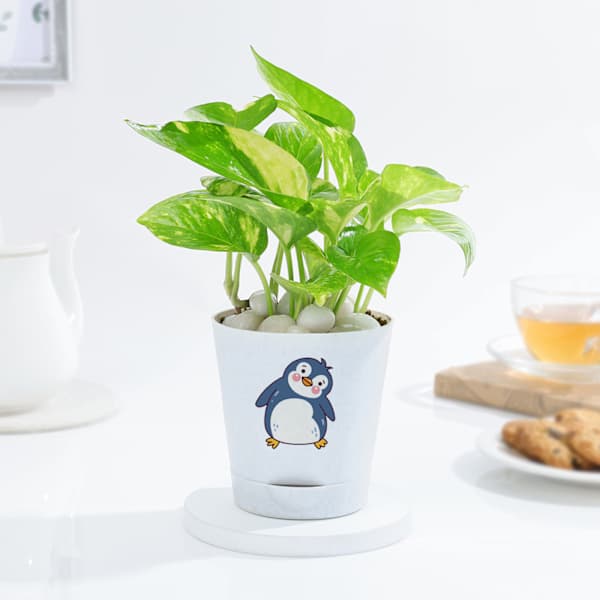 Lovely Money Plant In Self-Watering Penguin Planter