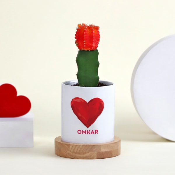 Lovers Moon Cactus  with Personalized Vase