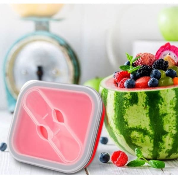 Buy/Send Lunch Box Foldable Online IGP JVS1217821