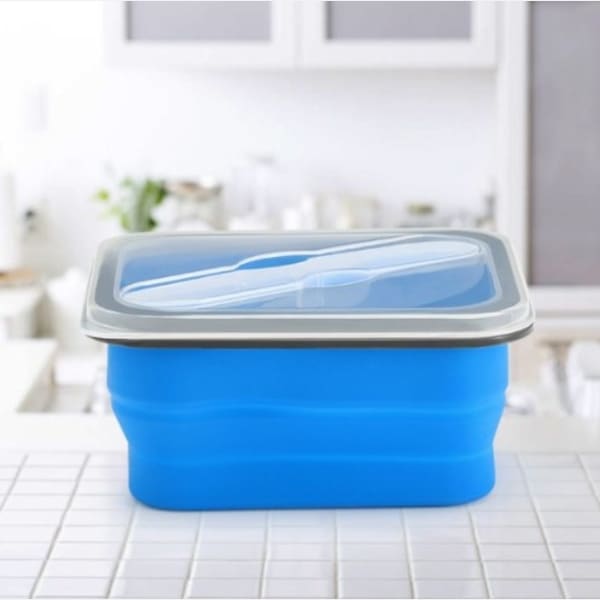 Buy/Send Lunch Box Foldable Online IGP JVS1217827