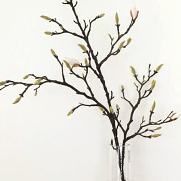 Magnolia Branches (Bunch of 10)