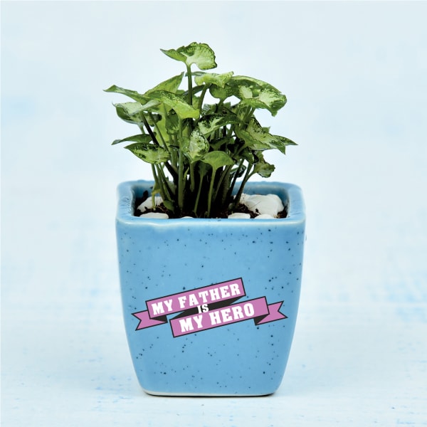 Mini Syngonium Plant in Fathers Special Customized Ceramic Pot (Low Light/Moderate Water)
