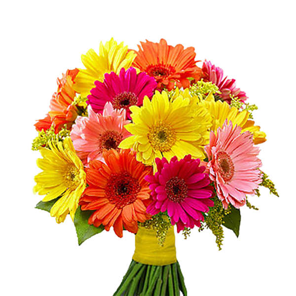 Mixed Vibrant Gerberas Bouquet