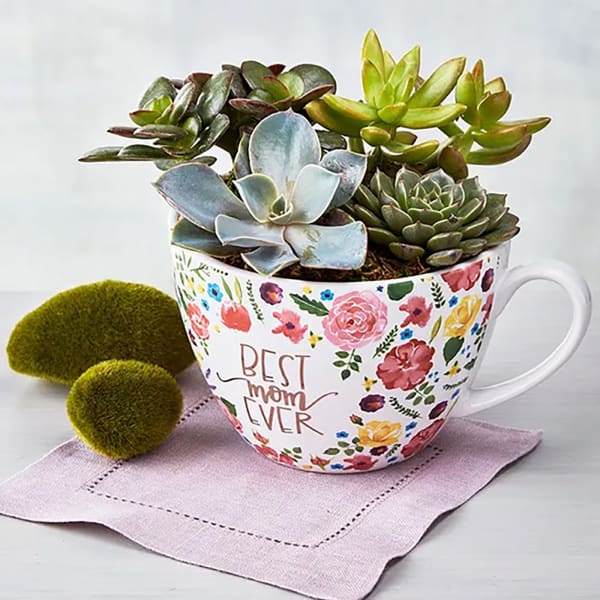 Mom Succulent Mug