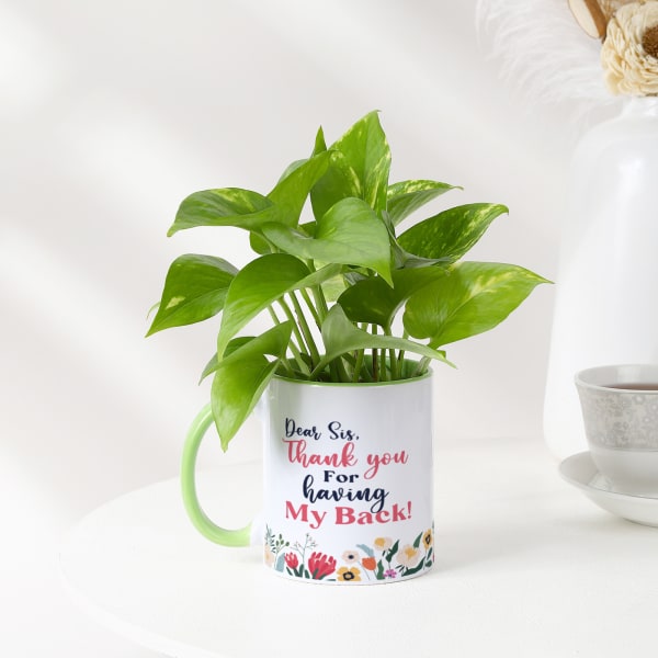 Money Plant With Personalized Mug Planter