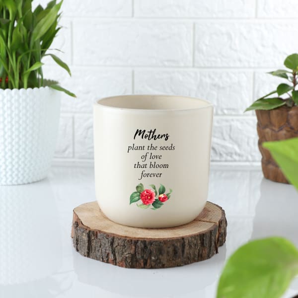 Mother's Care Ceramic Planter - Without Plant