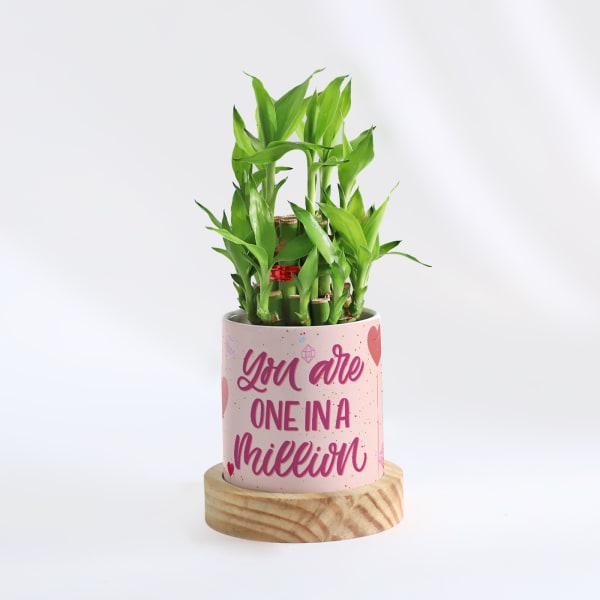 Mother's Day - Personalized Two Layered Bamboo Plant In Pot