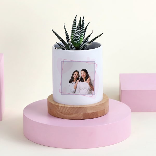 Mothers Day Personalized Haworthia With Planter