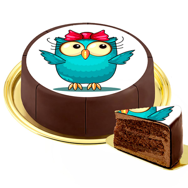 Motif Cake Owl