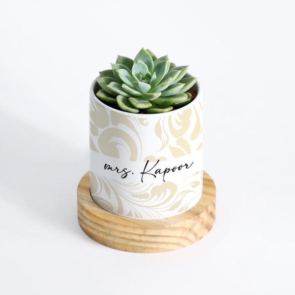 Nature's Gem - Echeveria Succulent With Pot - Personalized
