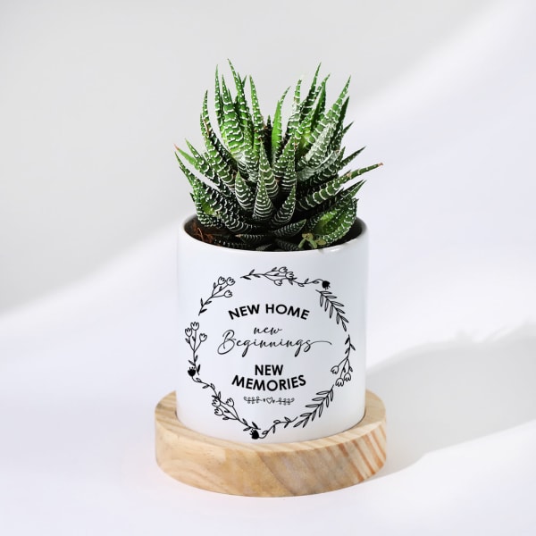 New Beginnings - Haworthia Succulent With Personalized Pot