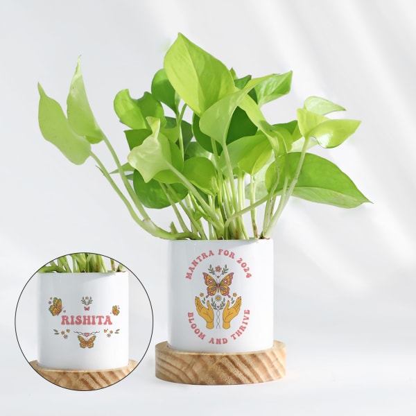 New Year Mantra - Money Plant With Personalized Pot