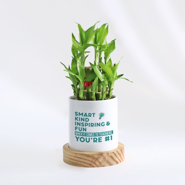 No.1 Teacher - Bamboo Plant With Personalized Planter