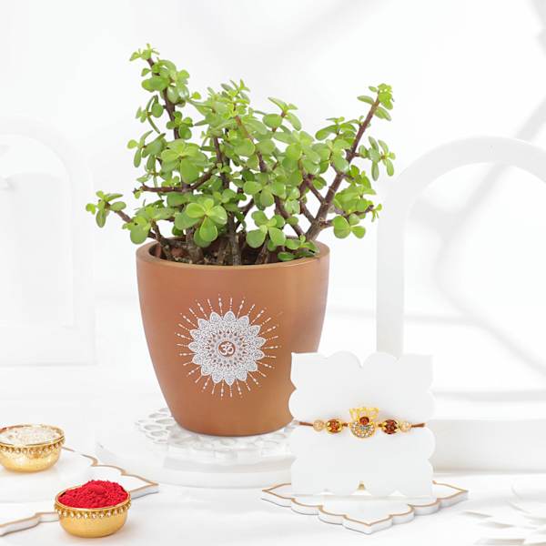 Om And Blessings Rakhi Gift Combo