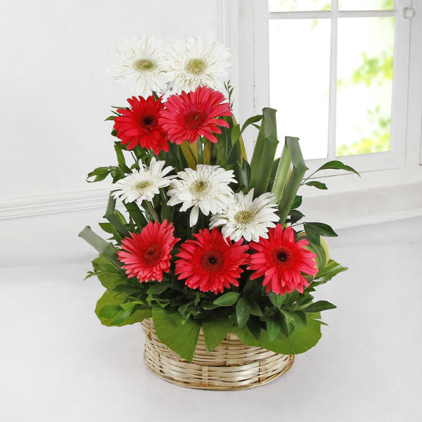One Sided Basket of Assorted Pink & White Gerberas