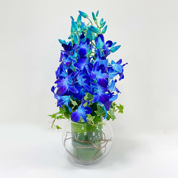 Opulent Blue Orchid Bouquet
