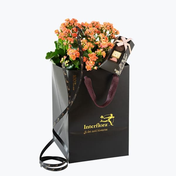 Buy/Send Orange and Sweets 240432 Online IGP NID1343520