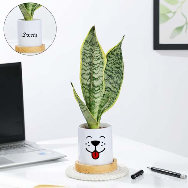 Personalized Ceramic Dog Planter With Snake Plant