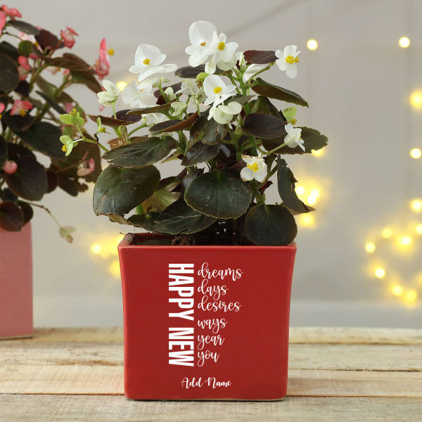 Personalized Ceramic Planter for New Year