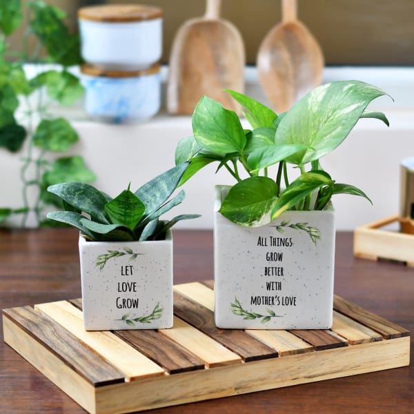 Personalized Ceramic Planter Set