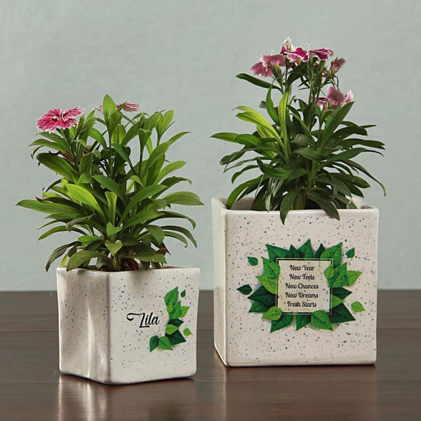 Personalized Ceramic Planters Set Gift/Send Home and Living Gifts