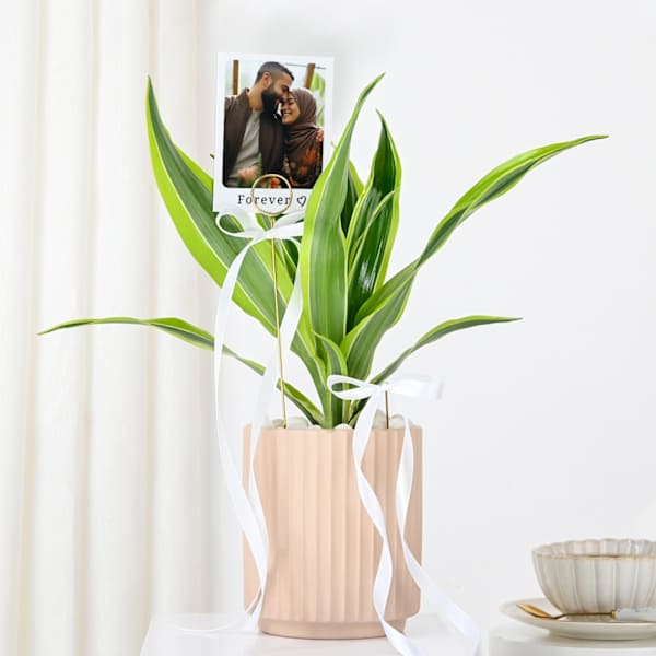 Personalized Dracaena And Fridge Magnet Combo