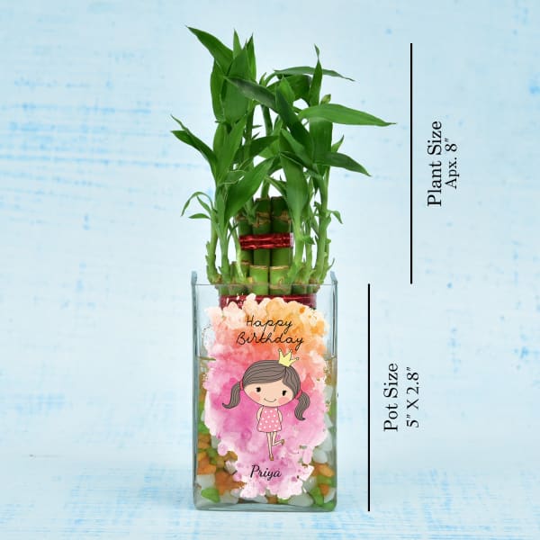 Personalized Happy Birthday Special Two Layer Lucky Bamboo (Moderate light/Less Water)