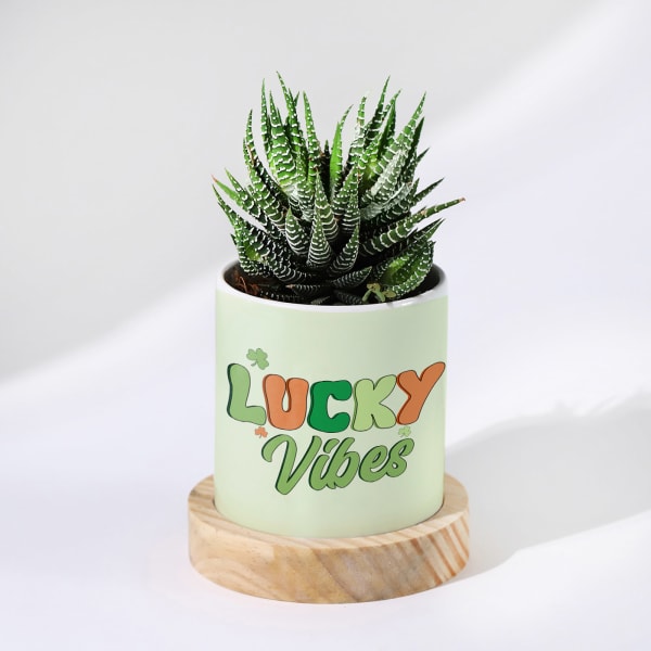 Personalized Lucky Vibes - Haworthia Succulent With Planter For Mom