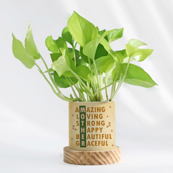 Personalized Money Plant With Pot For Mom