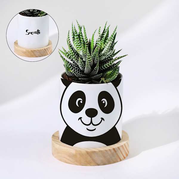 Personalized Panda Ceramic Planter With Haworthia Plant
