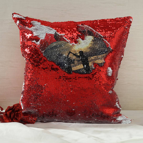 sequin cushion