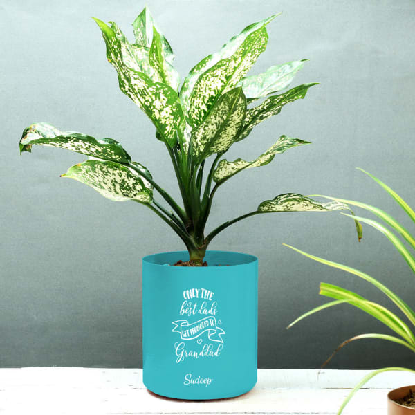 Personalized Plant Pot For Granddad